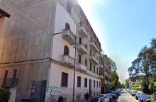 img - Celentano-Mogol, il verde che non c’è più